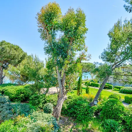 Rooftop 3 Pieces Avec Piscine Face * Villeneuve-Loubet